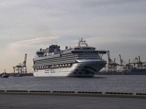 Kemenhub Panggil Agen Pelaut WNI yang Kerja di Kapal Diamond Princess