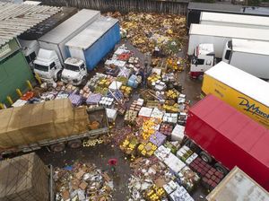 Duh! Buah-buahan Ini Terancam Dibuang Akibat Banjir di Brasil