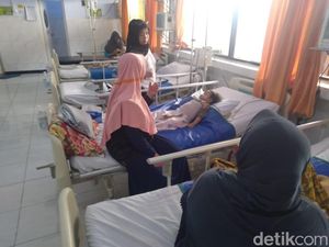Awal Tahun Kasus DBD di Jombang Melonjak, Bayi Usia 11 Bulan Meninggal Awal Tahun Kasus DBD di Jombang Melonjak, Bayi Usia 11 Bulan Meninggal