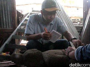 Tim Arkeolog Teliti Patung Manusia Temuan Kuli Bangunan di Pinrang