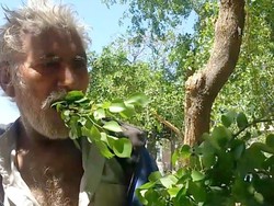 Selama 25 Tahun Pria Ini Hanya Makan Kayu dan Daun Mentah