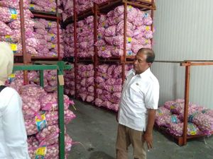 Satgas Pangan: Tak Ada Penimbunan Bawang Putih di Karawang