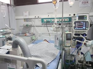 Kronologi Balita Cirebon Koma Akibat Digigit Ular Berbisa