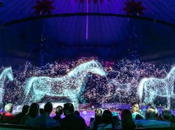 Keren, Sirkus di Jerman Tak Lagi Pakai Hewan, Diganti Hologram!