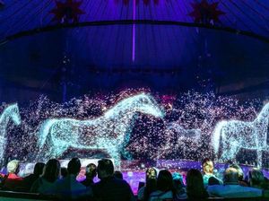Keren, Sirkus di Jerman Tak Lagi Pakai Hewan, Diganti Hologram! Keren, Sirkus di Jerman Tak Lagi Pakai Hewan, Diganti Hologram!
