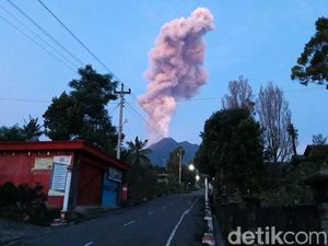 Gunung Merapi Erupsi Lagi, Ini Informasi Lengkapnya