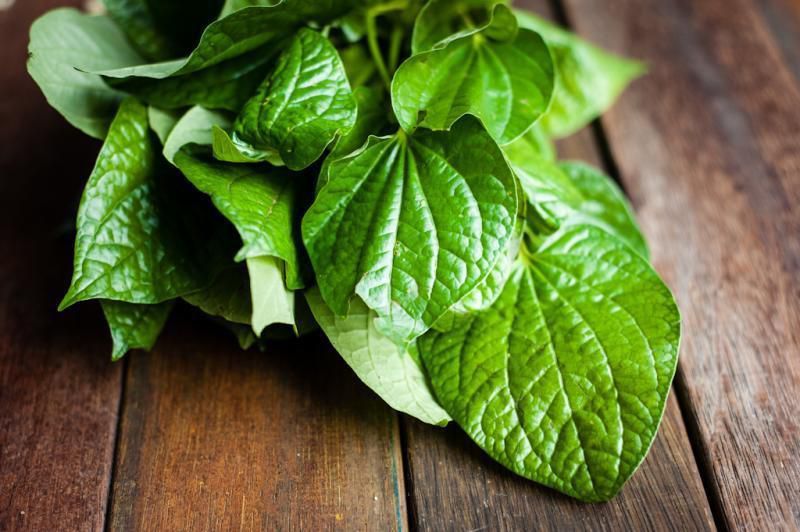 Miss V Tetap Bersih ketika Menstruasi dengan Pembalut Daun Sirih