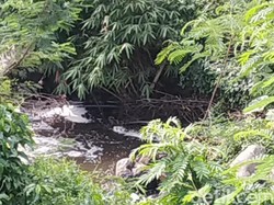 50 Persen Sungai di Blitar Tercemar
