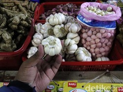 62.000 Ton Bawang Putih China Mau Masuk RI