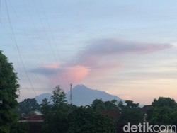 Hujan Meredakan Guyuran Abu di Lereng Merapi