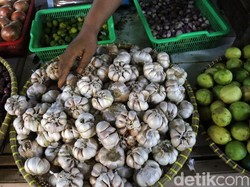 Pasokan Bawang Putih RI Kurang Hampir 400 Ribu Ton