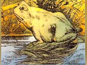 Tes Psikologi: Gambar Kodok atau Kuda yang Pertama Kali Dilihat?