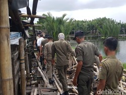 Limbah Kotoran Ganggu Warga, Ribuan Ternak Babi di Makassar Ditertibkan