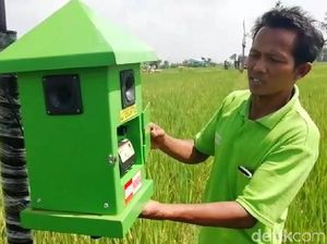 Canggih, Ini Alat Pengusir Tikus yang Aman Buat Manusia