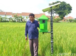 Begini Cara Kerja Alat Pengusir Tikus yang Gunakan Tenaga Surya