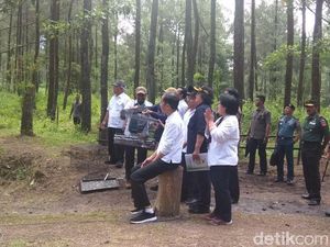 Video Jokowi Lepas Elang Jawa Abu dan Rossy di Kawasan Merapi