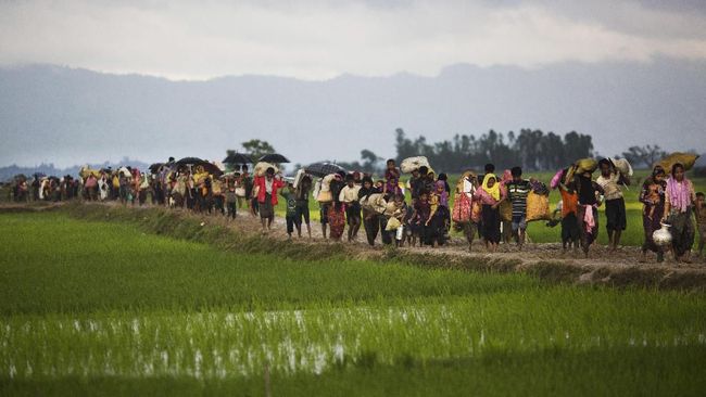 Myanmar Tangkap 48 Warga Rohingya yang Kabur dari Kamp Pengungsian Myanmar Tangkap 48 Warga Rohingya yang Kabur dari Kamp Pengungsian
