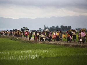 Etnis Rohingya di Kamp Bangladesh Suka Cita atas Penahanan Aung San Suu Kyi Etnis Rohingya di Kamp Bangladesh Suka Cita atas Penahanan Aung San Suu Kyi