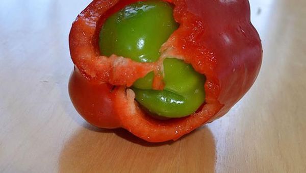 Ketika Telur Ada di Dalam Telur dan Paprika di Dalam Paprika