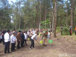 Jokowi Sambangi Merapi Pasca Erupsi, Apa Saja Agendanya?