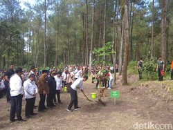 Jokowi Sambangi Merapi Pasca Erupsi, Apa Saja Agendanya?