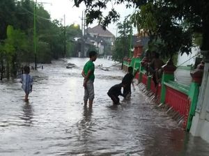 Hujan Deras di Pasuruan Sebabkan Banjir, Tanggul Jebol dan Pohon Tumbang