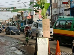 Warga Desa Cihampelas Tanam Pohon Pisang di Jalan Berlubang