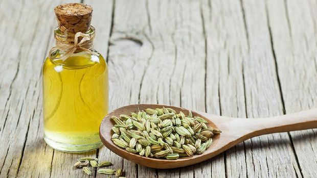 Minyak esensial fennel (adas)