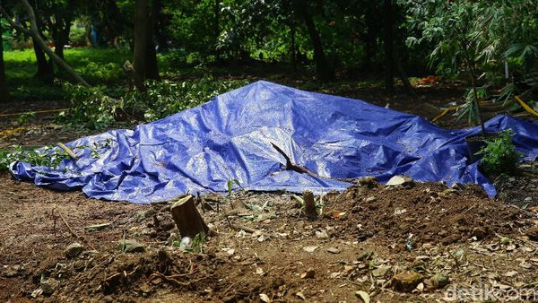 Penampakan Lokasi Paparan Radioaktif di Batan Indah Tangsel