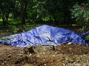 Penampakan Lokasi Paparan Radioaktif di Batan Indah Tangsel