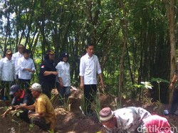 Promosikan Vetiver, Jokowi: Pengerukan Sedimen Lumpur di Waduk Itu Keliru