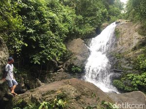 Air Terjun Tersembunyi di Hutan Sulawesi Barat Air Terjun Tersembunyi di Hutan Sulawesi Barat
