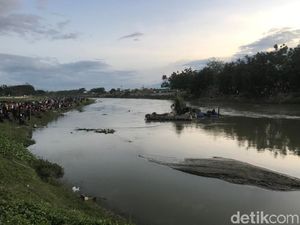 Penonton Jadi Kendala Penyelamatan Buaya Berkalung Ban Penonton Jadi Kendala Penyelamatan Buaya Berkalung Ban