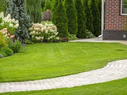 Bye-bye Bau, 3 Tanaman Wangi Ini Bisa Jadi Pilihan di Halaman Rumah