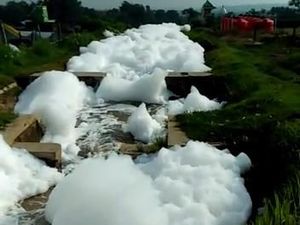 Heboh Sungai Berbusa Bak Awan Berarak di Pasuruan, Begini Faktanya