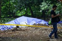 5 Fakta Kasus Radioaktif di Batan Indah: Bisa Sebabkan Mandul hingga Kanker