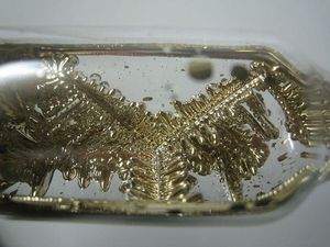 Unsur yang Diduga Sumber Radioaktif di Batan Indah: Cs 137