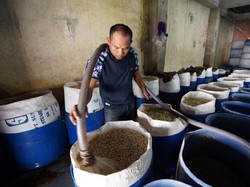 Mas Toge Sukses Berkat KUR BNI