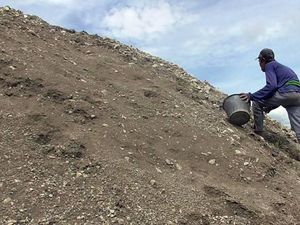 Puluhan Lansia Banting Tulang di Polewali Mandar Jadi Pemecah Batu