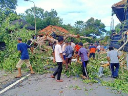 Pohon Tumbang Timpa Pura Kahyangan di Badung Bali, 1 Orang Luka