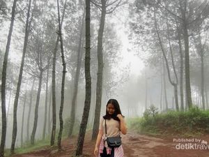 Akhir Pekan di Lembang, Yuk Kemah ke Gunung Putri