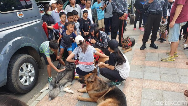 Atraksi Anjing Pelacak Kuda Pengendali Massa Curi Perhatian Di Cfd