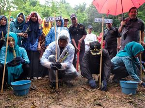 Ikuti Arahan Jokowi, Bupati Gowa Tanam 180.000 Vetiver di 11 Kecamatan Ikuti Arahan Jokowi, Bupati Gowa Tanam 180.000 Vetiver di 11 Kecamatan