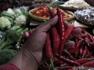 Jelang Idul Adha, Harga Cabai hingga Telur Ayam Naik Tipis