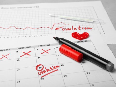 Young woman hand holding red clock Ovulation test strip with calendar in background. Positive result. It is a time for baby.Gynecology concept