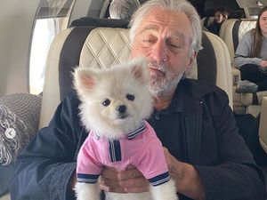 Kisah Martin Scorsese saat Masih Jadi Kru Film Kisah Martin Scorsese saat Masih Jadi Kru Film
