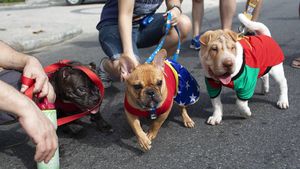Melihat Gaya Para Anjing yang Bikin Gemas di Karnaval Brasil