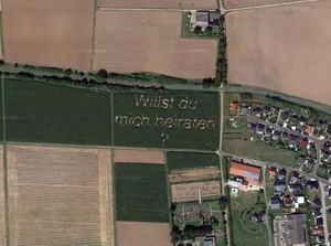 So Sweet! Petani Ini Tanam Ribuan Jagung untuk Lamar Kekasih