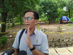 Dampak Radioaktif di Tangsel, Pohon di Area Terkontaminasi Akan Ditebang