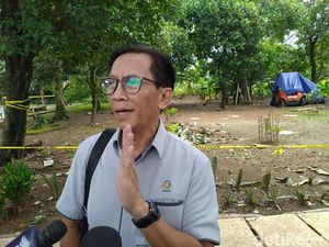 Dampak Radioaktif di Tangsel, Pohon di Area Terkontaminasi Akan Ditebang Dampak Radioaktif di Tangsel, Pohon di Area Terkontaminasi Akan Ditebang